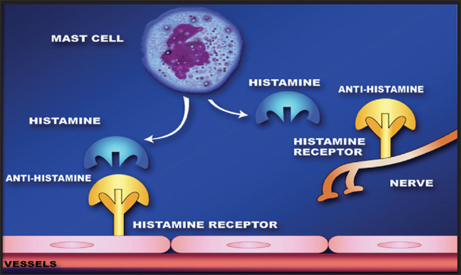 Antihistamines