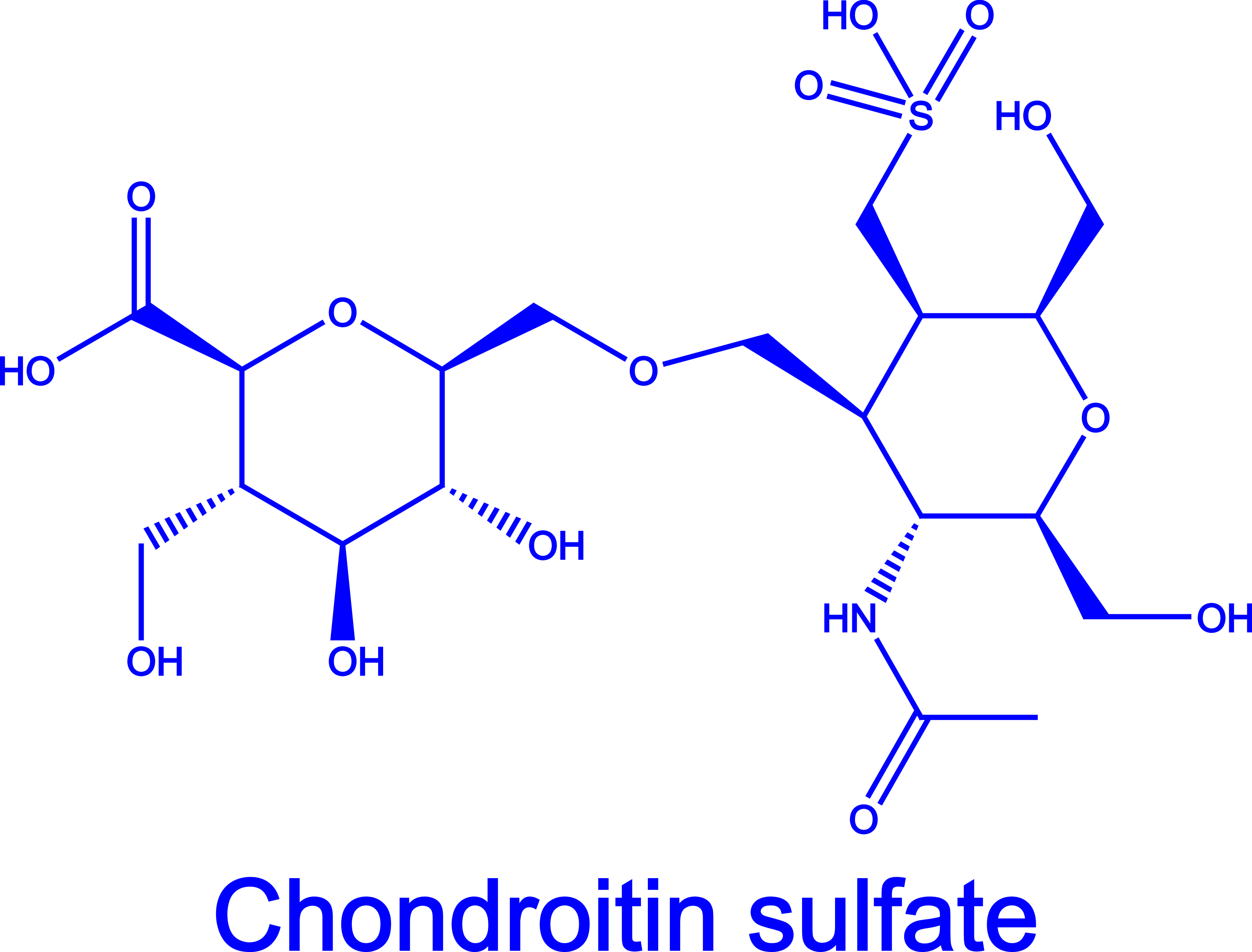 Chondroitin